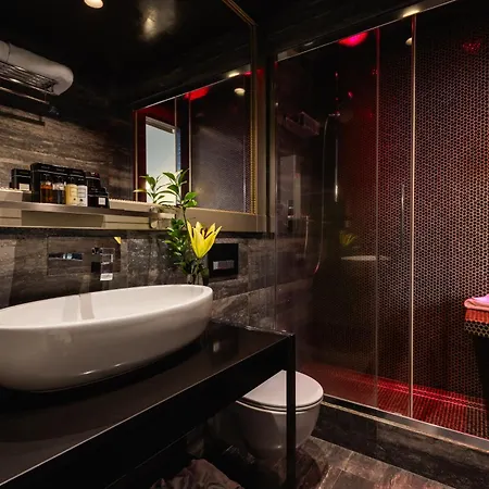 Πανσιόν Maison Torre Argentina 4*